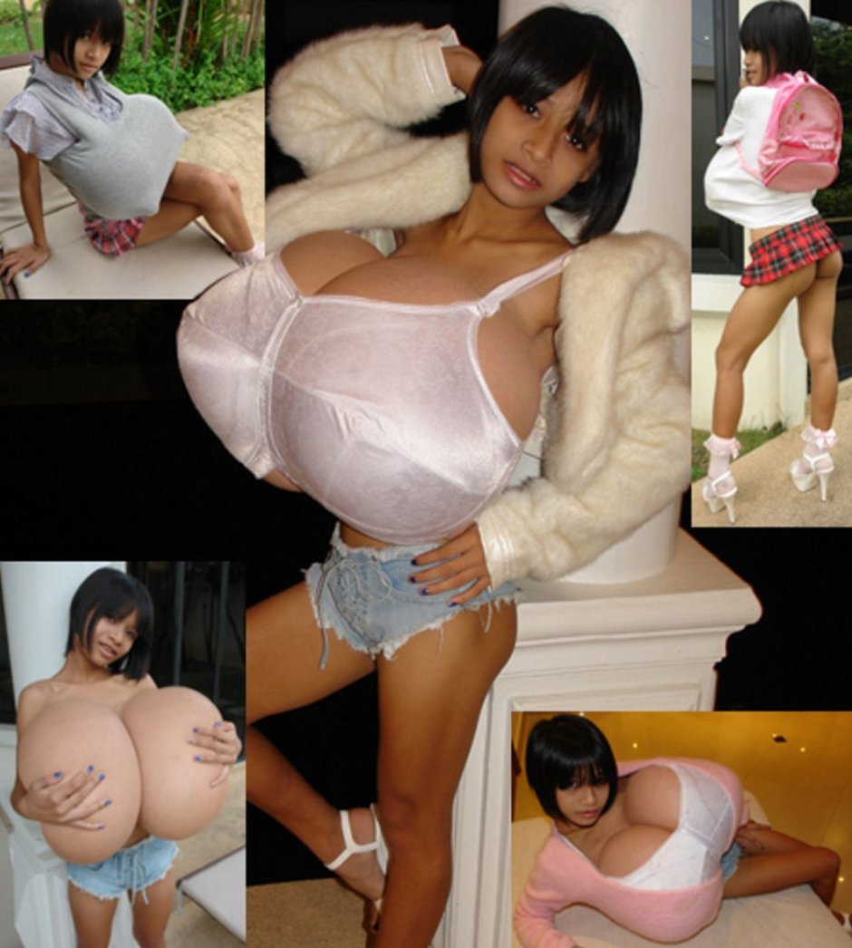 Chinese Ting Hiafen 2020