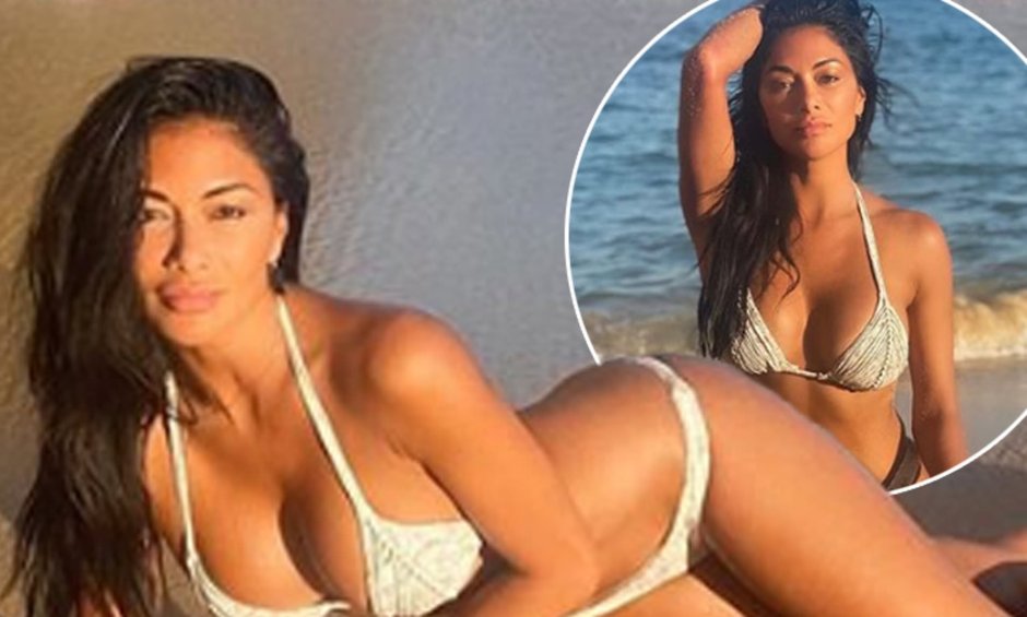 Nicole Sherzinger Clips