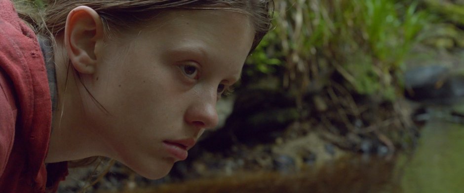 The Survivalist 2015