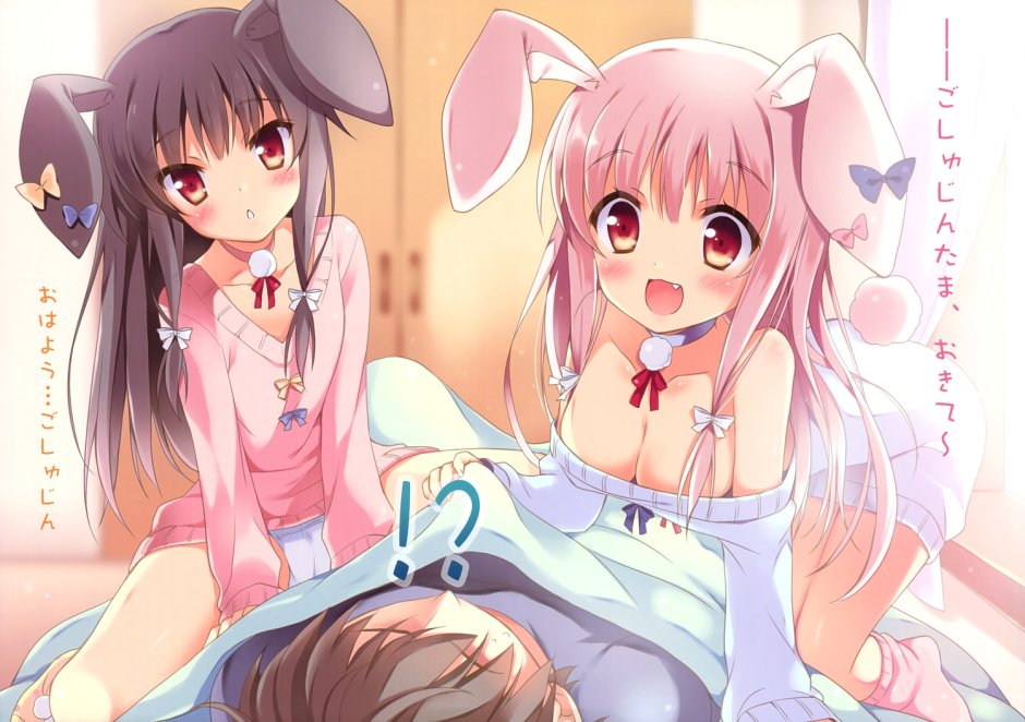 Bunny Panza