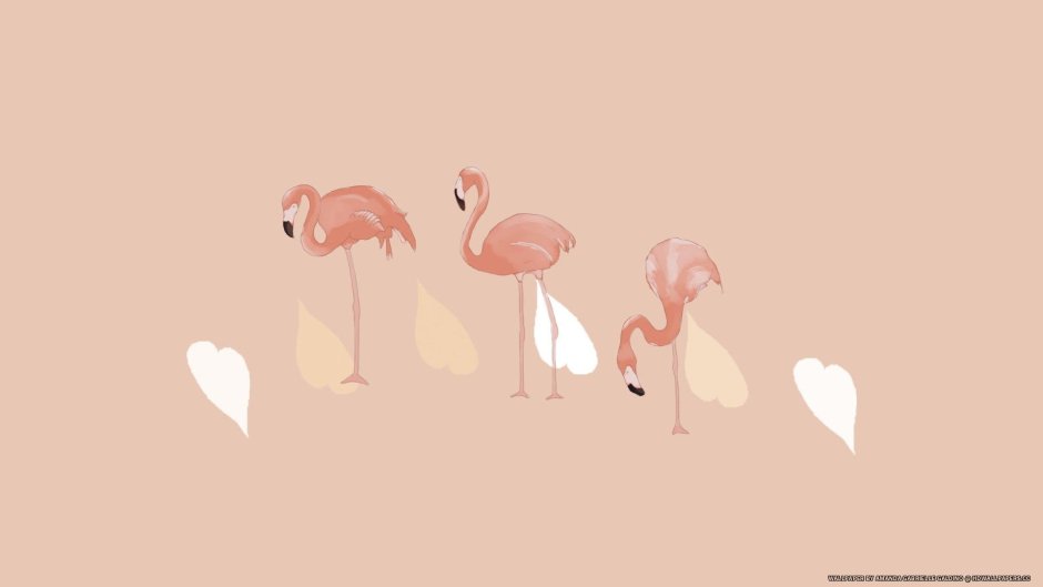 Cute aesthetic wallpaper