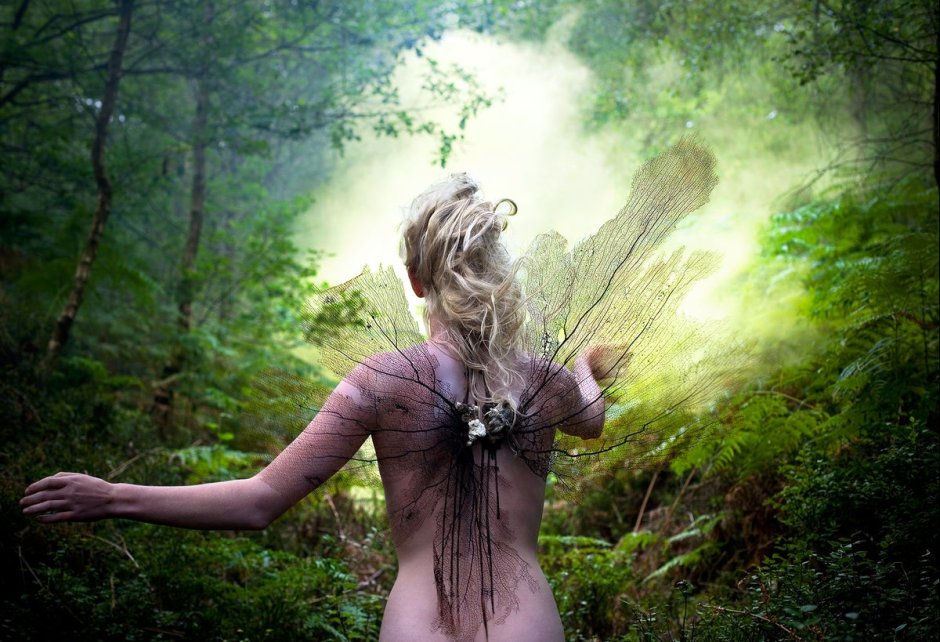 Kirai Mitchel "Country of Wonders"