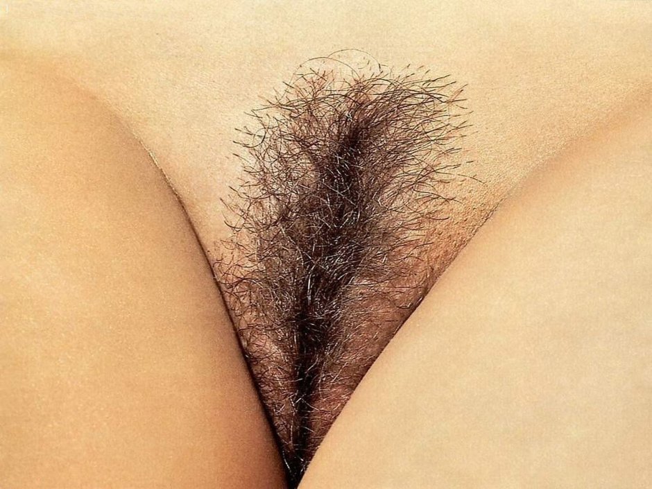 Erotic pubic haircuts