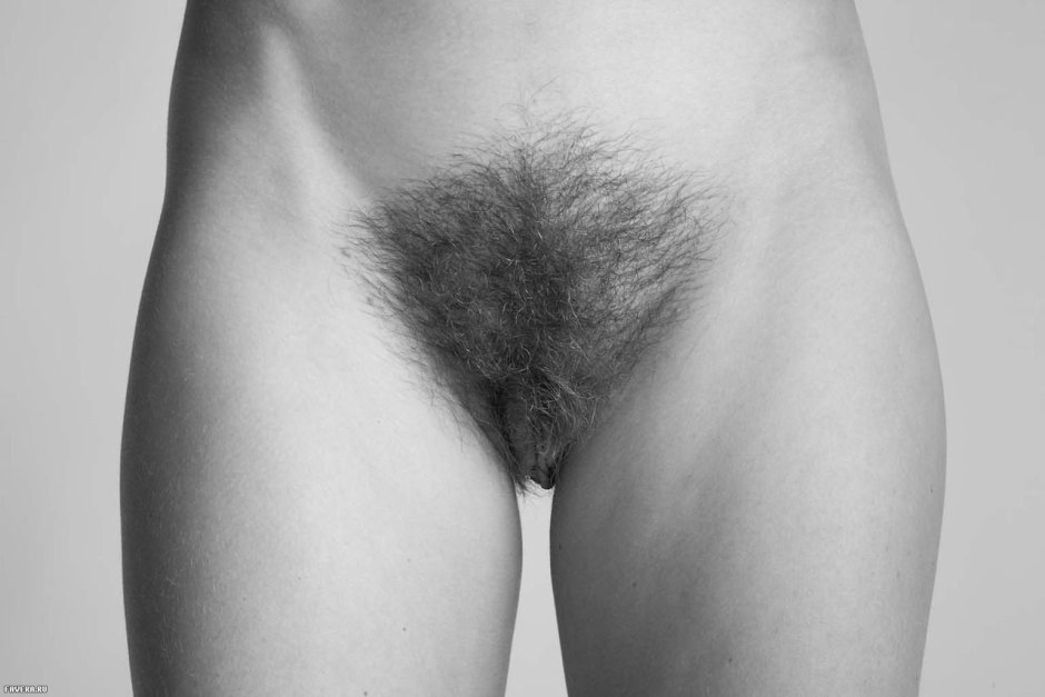 Fashion for unshaven female pubis