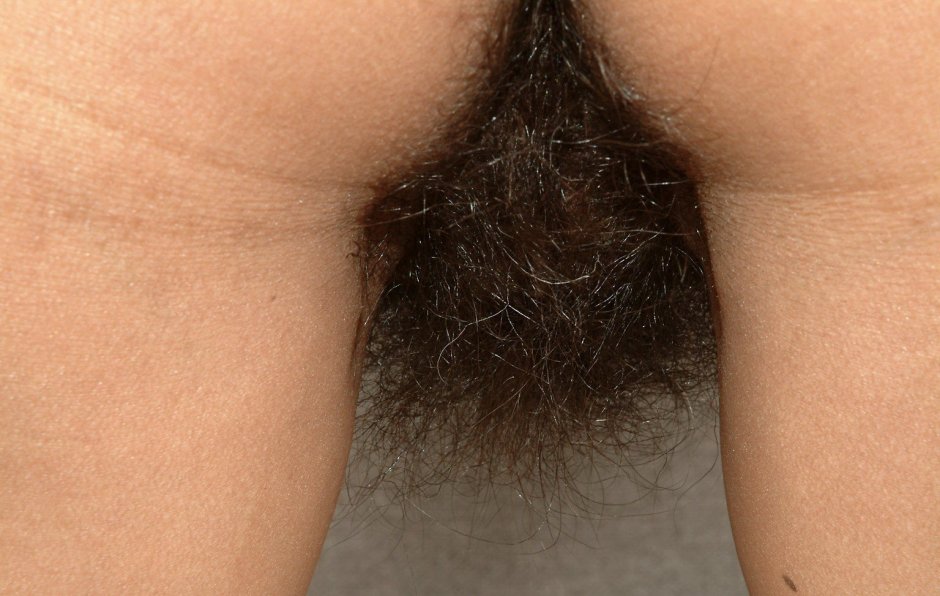 Beautiful pubic hairstyles