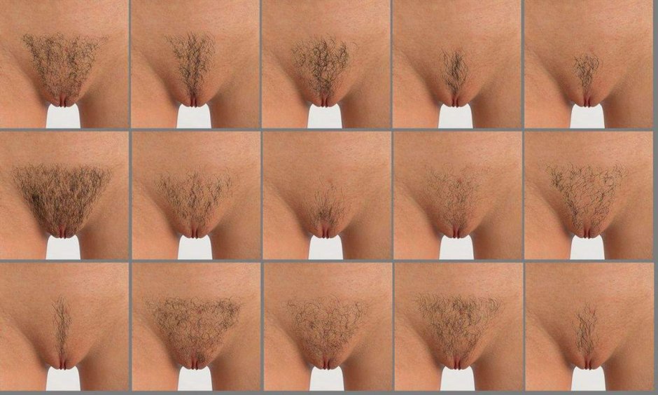 Women's intimate hairstyles