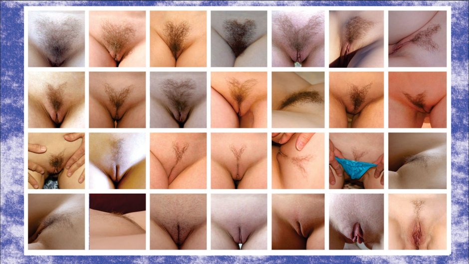 Long pubic hair