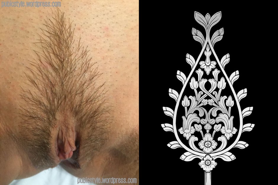 Long pubic hair