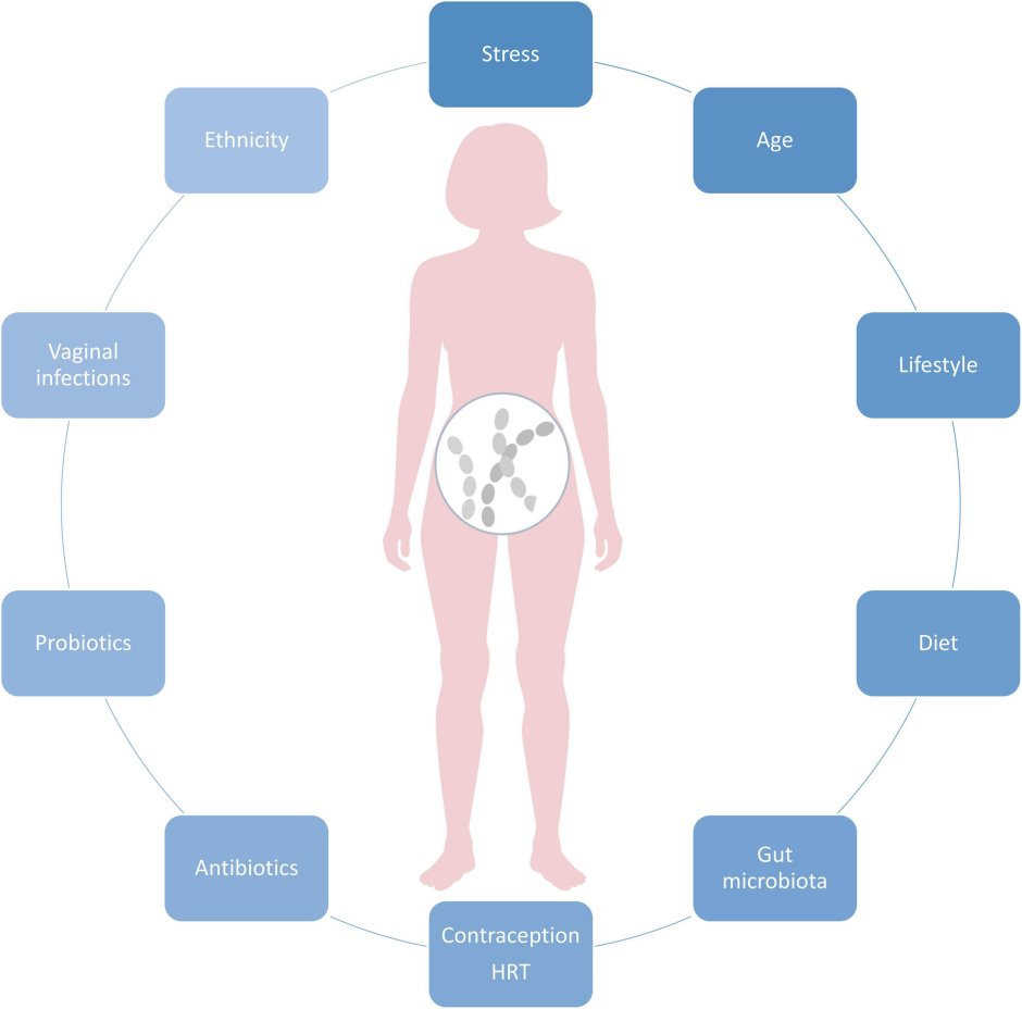 Vaginal Yeast Infection Symptoms Treatment
