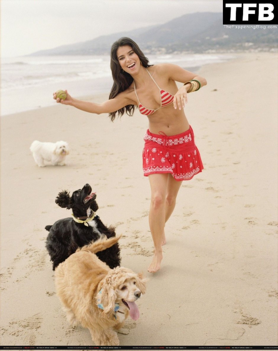 Roselin Sanchez (Roselyn Sanchez) 2020