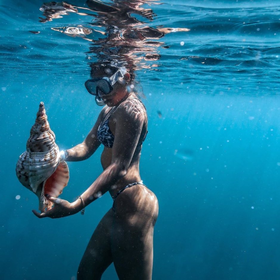 Antea Hamilton divers