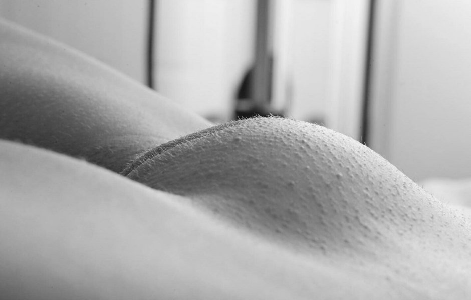 Macro -shooting Pubis
