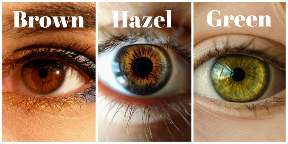 Brown eye color