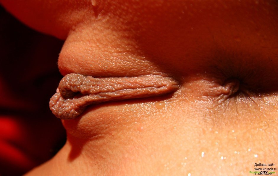 Naked beauties close -up