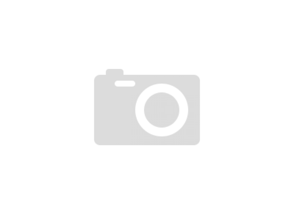 Leader PZ19JB carburetor