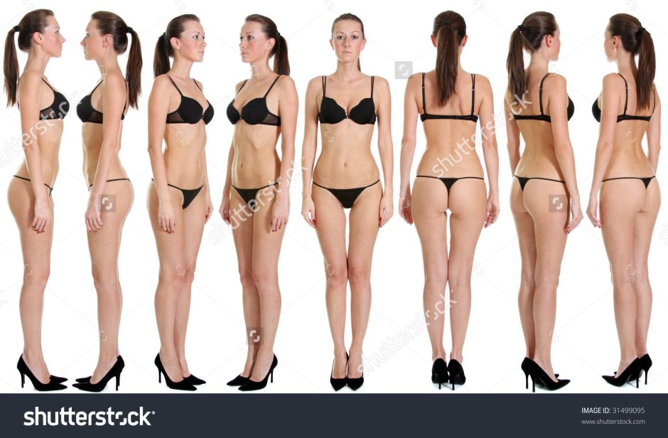 Model figure in full growth straight