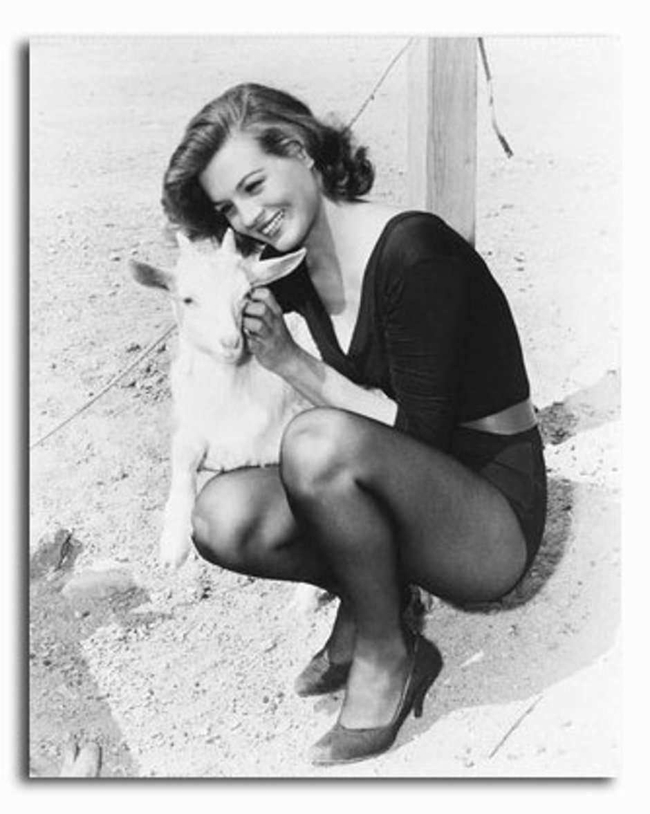 Allison Hayes (1950s) nude