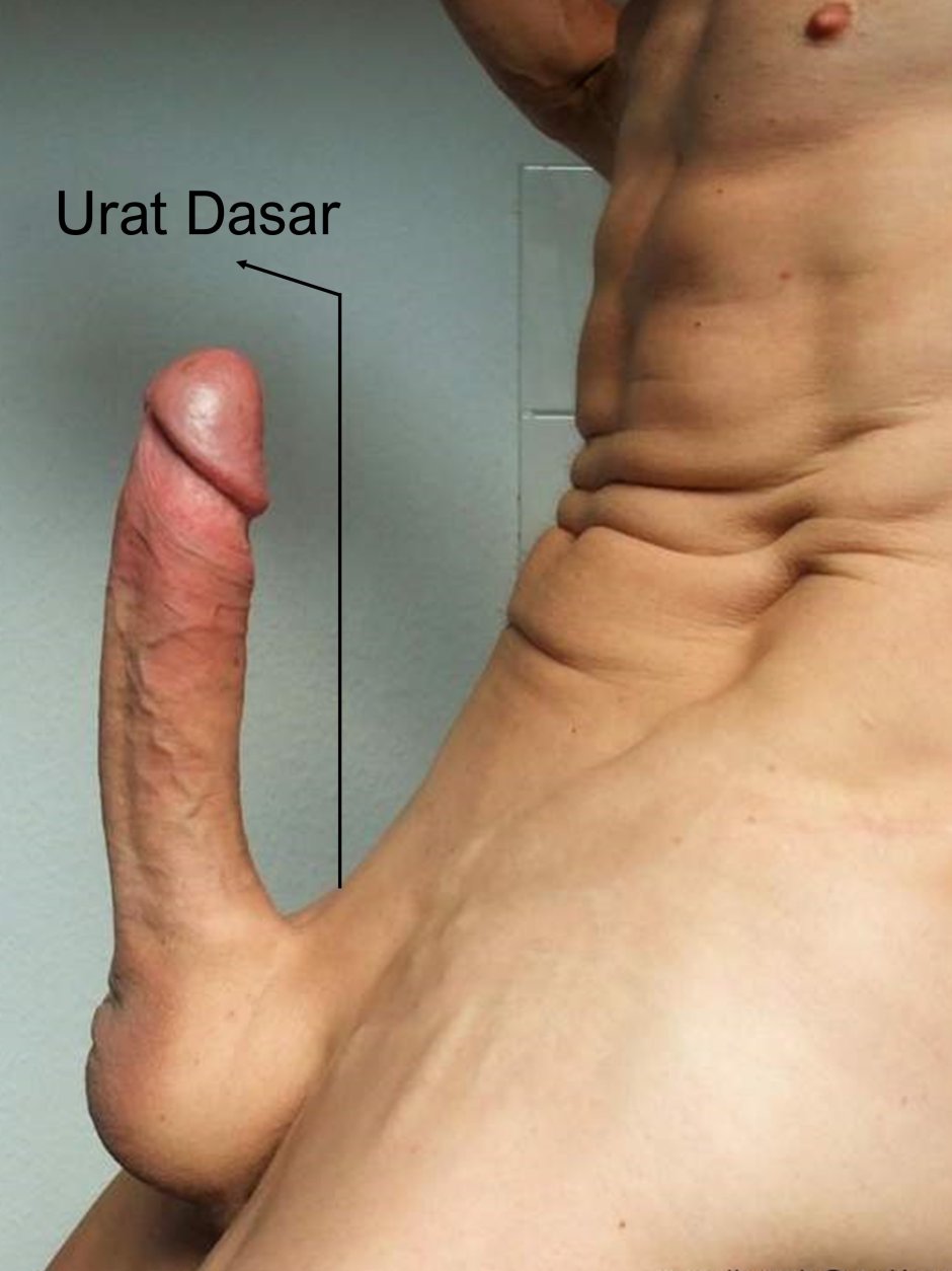Diego Barros (Diego Barros) Naked