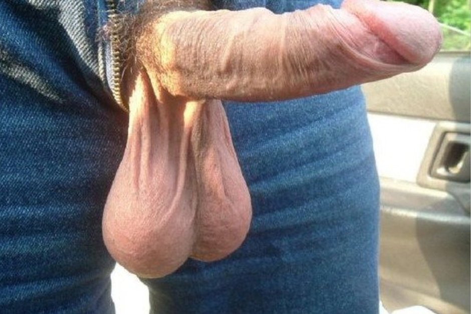 Huge cock close -up