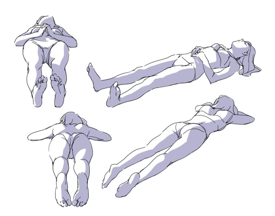 Anatomy of a girl for drawing