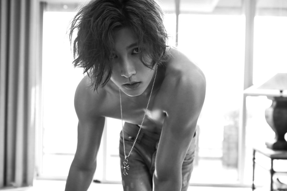 Temin torso