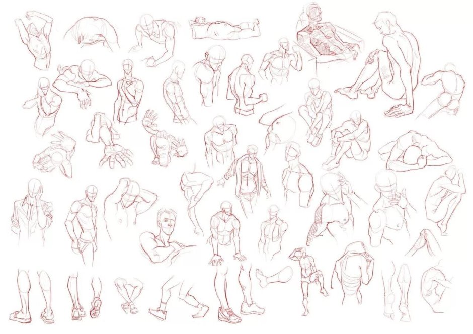 Refer poses for drawing