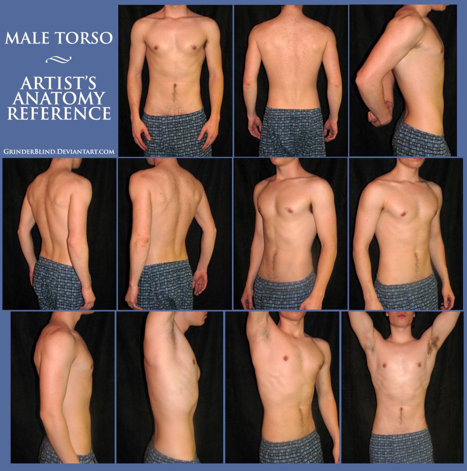 Male back reference