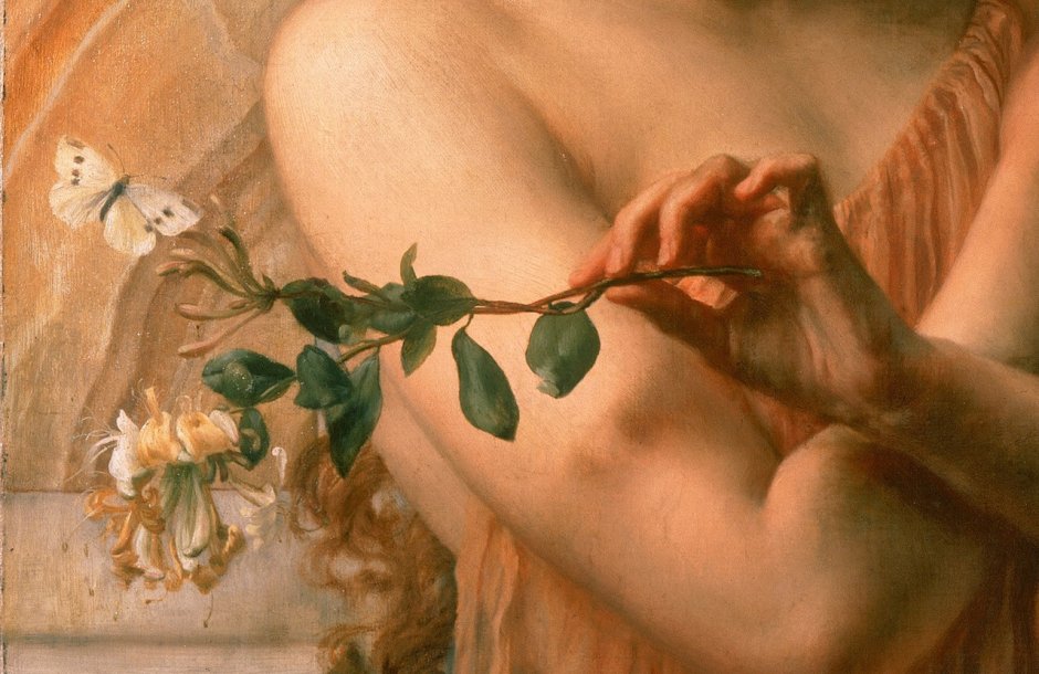 Pictures of aesthetics