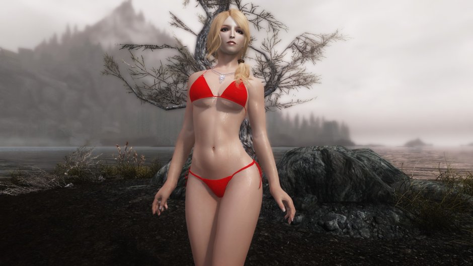 Skyrim Unp bikini
