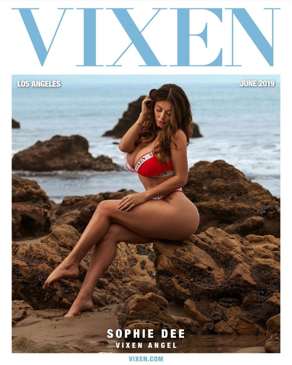 Vixen 2021