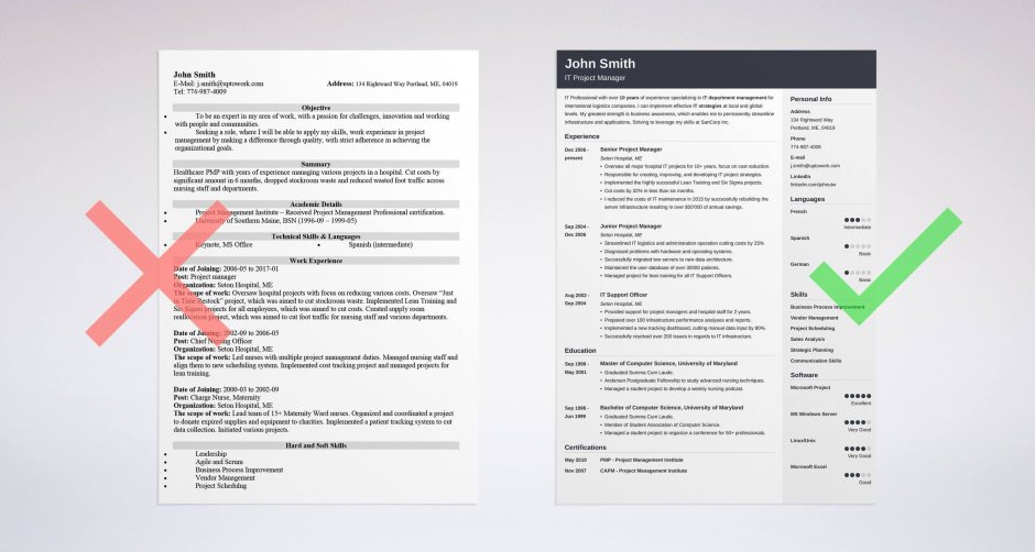 The resume of the developer