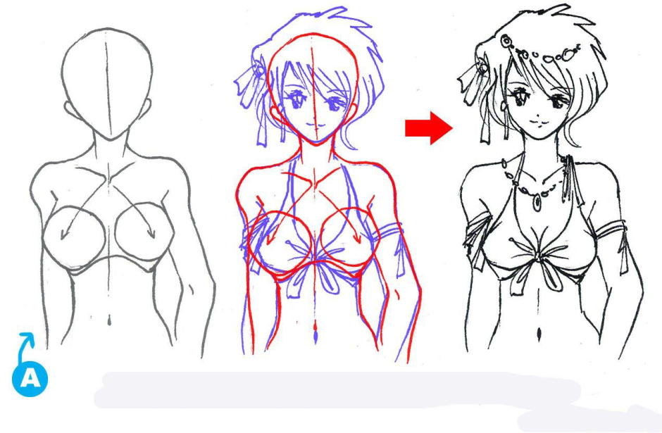 Drawn female breasts