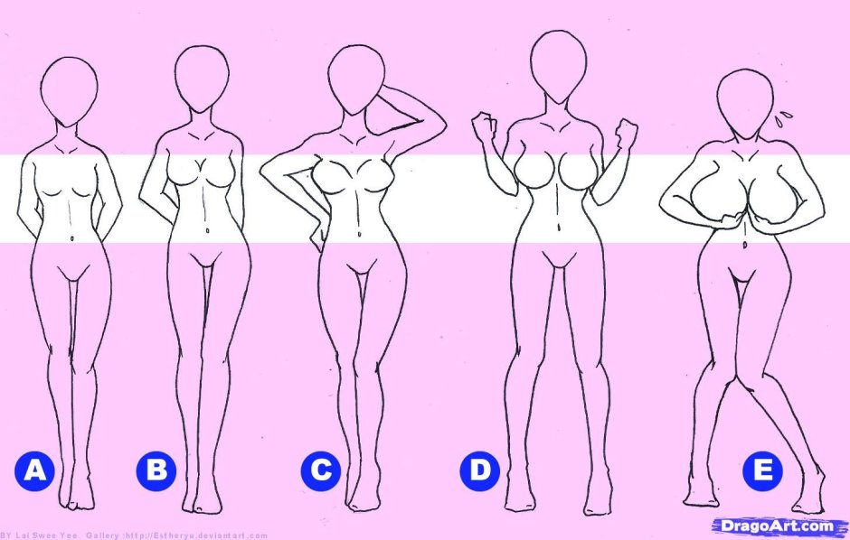 Breast size