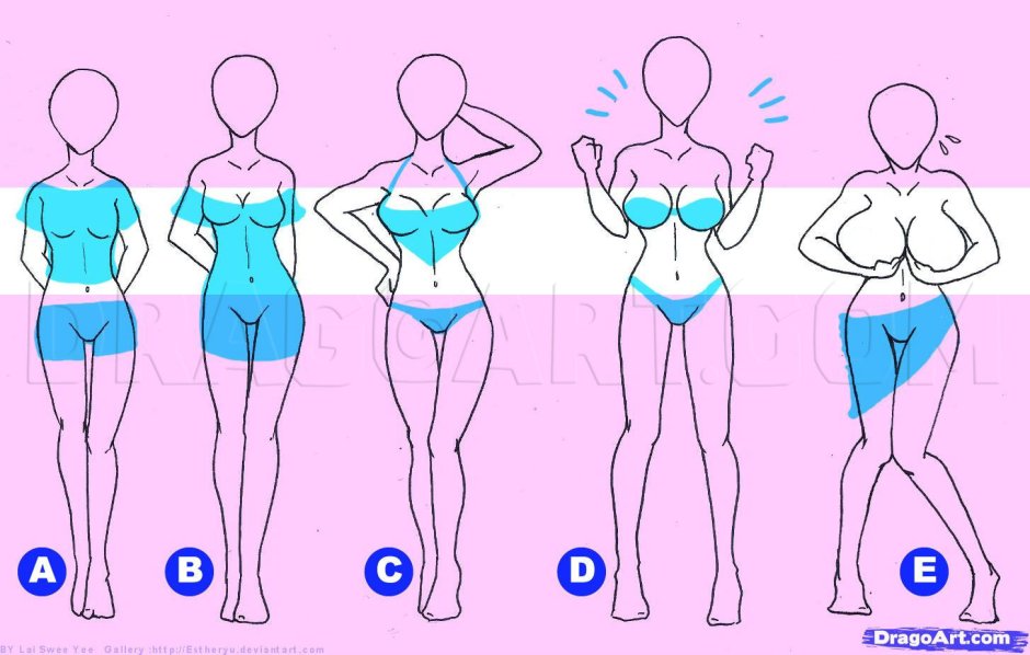 Breast size in pictures
