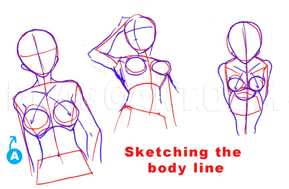 How to draw a chest