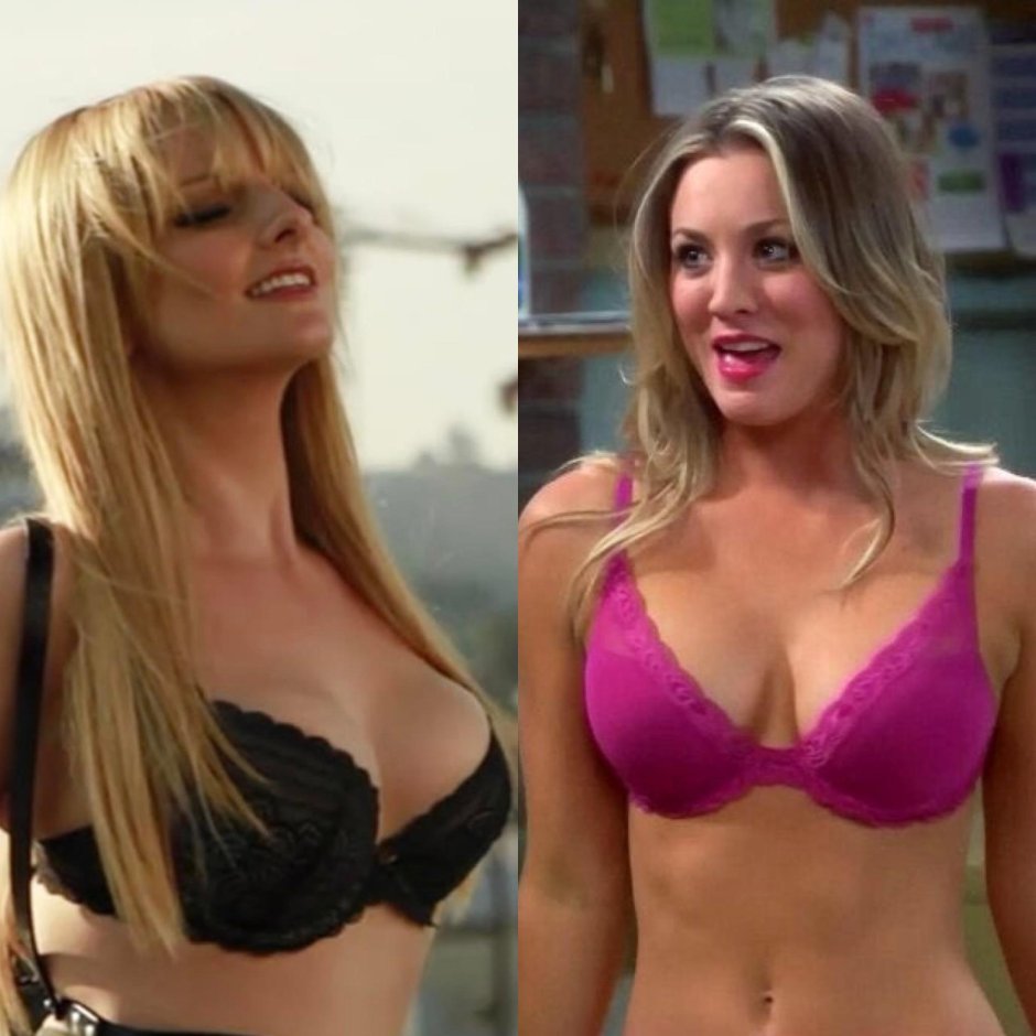 Melissa model
