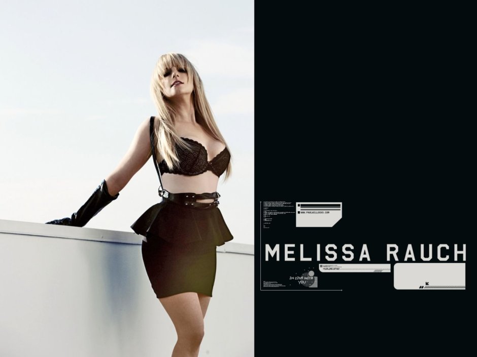 Melissa Raush Theory of Big Bang