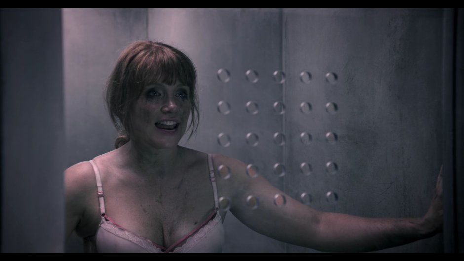 Bryce Dallas Howard Figure