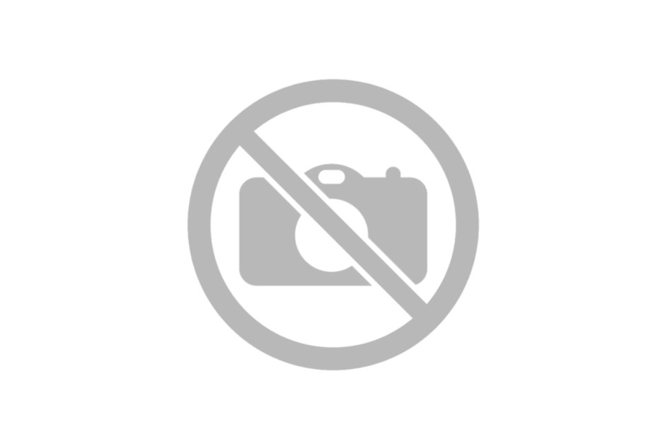 MSI 865GVM2-LS motherboard