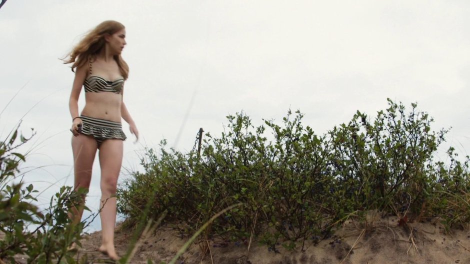 Willa Fitzgerald Beach House 2017