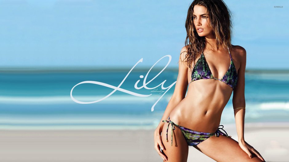 Lily Aldridge Love Advent