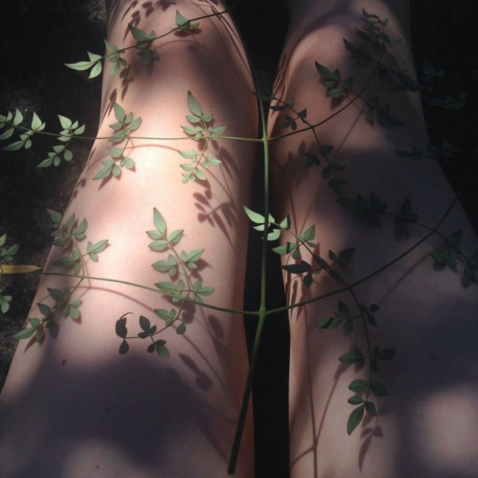 Aesthetics are brown green