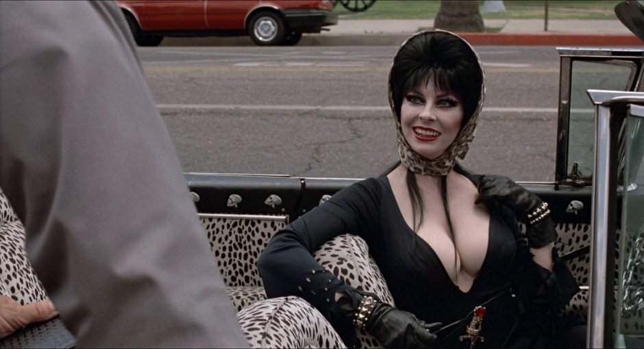 Elvira Lord of Darkness Film 1988