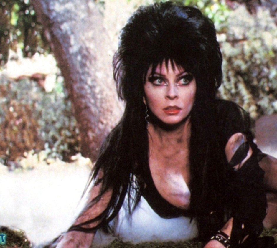 Elvira Evans