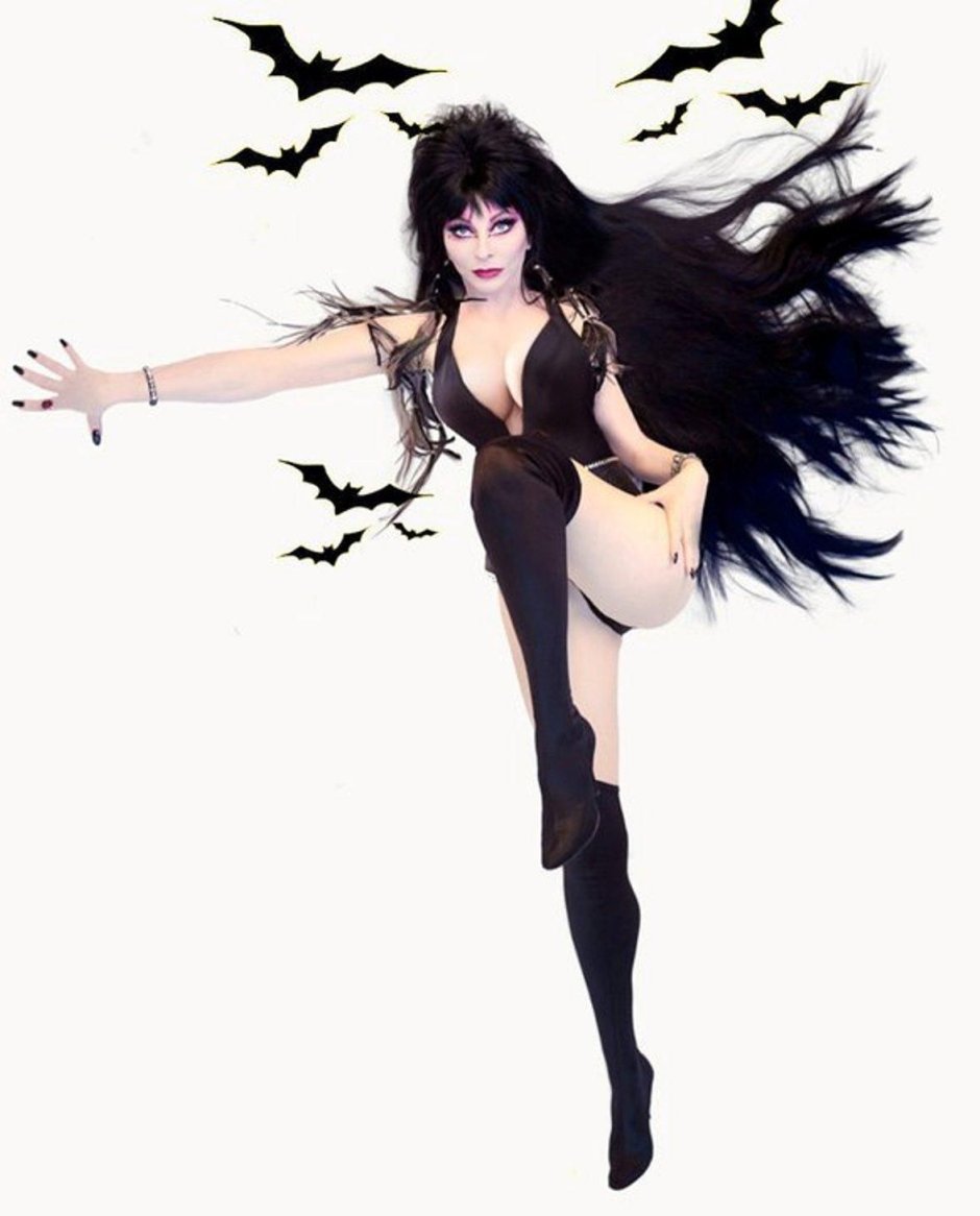 Elvira Lord of darkness drawing