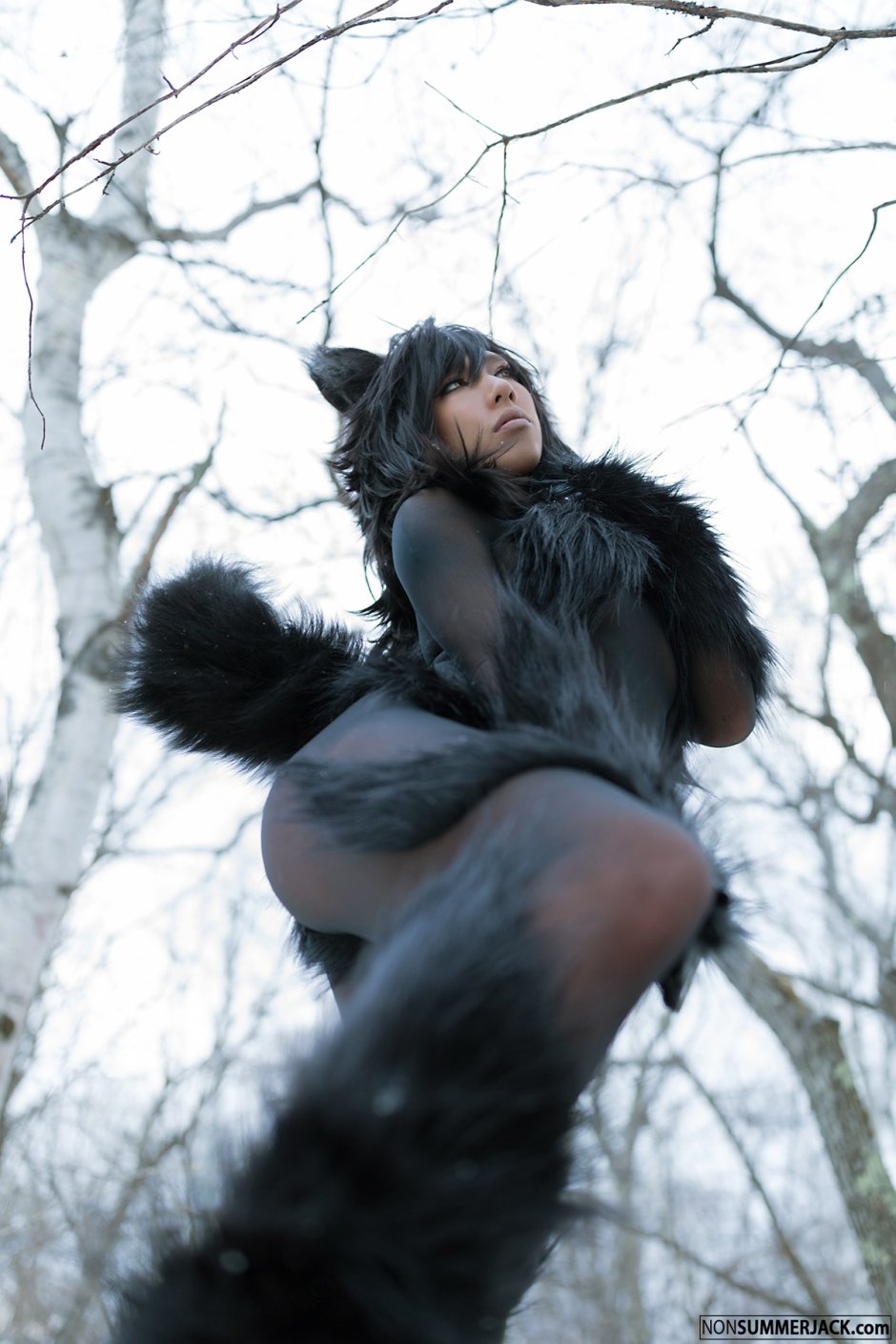 Nonsummerjack Timber Wolf