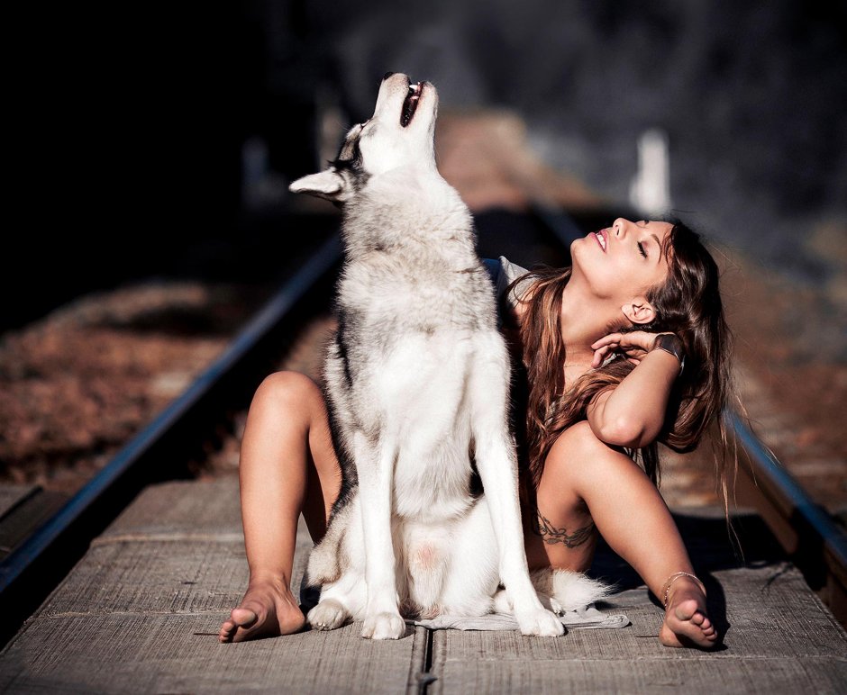 Gray Wolf Mia Boyka