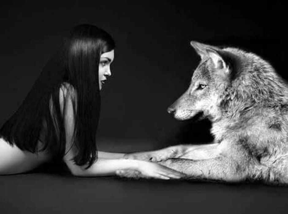 Wolf and girl