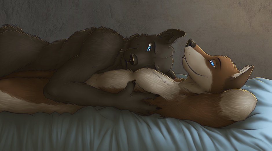 Furry in bed