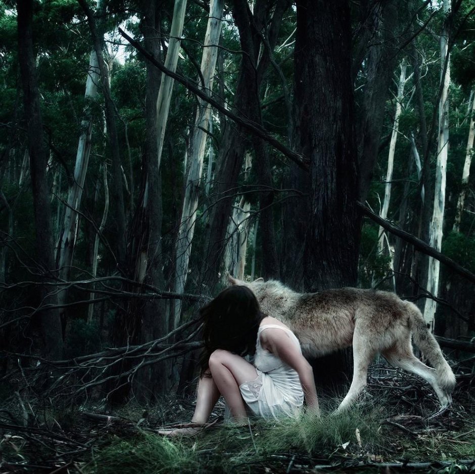 Girl with a wolf in the forest